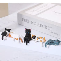 🐱Cat A (5 pcs)🔥