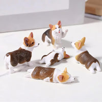 🐶Dog B (5 pcs)